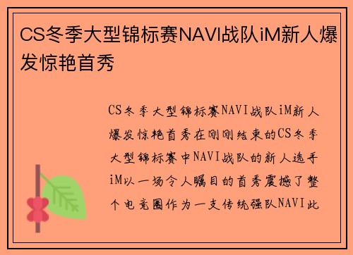 CS冬季大型锦标赛NAVI战队iM新人爆发惊艳首秀